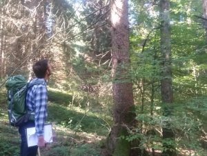 un giorno da forestale con Guide Altopiano