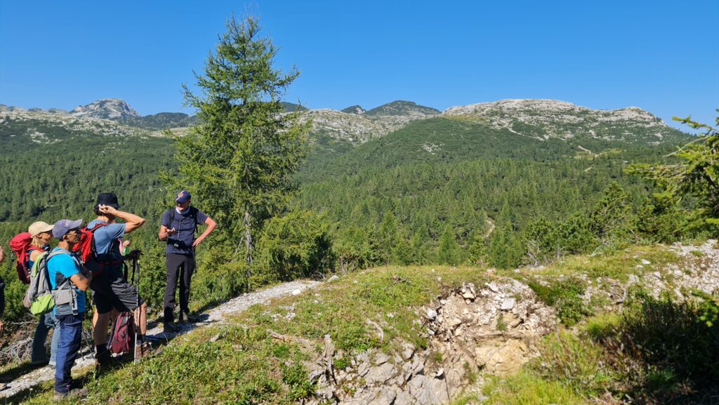 Cima della Campanella